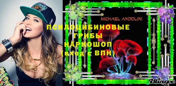 молекула духа Армянск