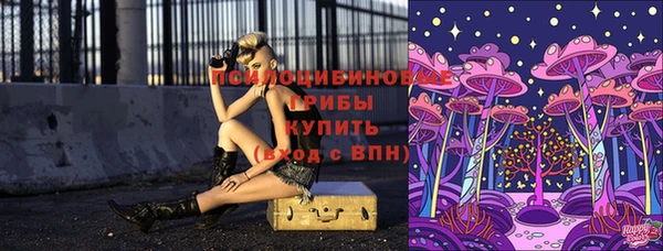 гашик Пестово