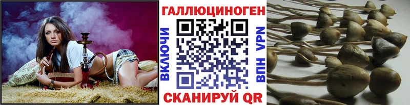 мега   Мурино  Галлюциногенные грибы мухоморы  как найти  